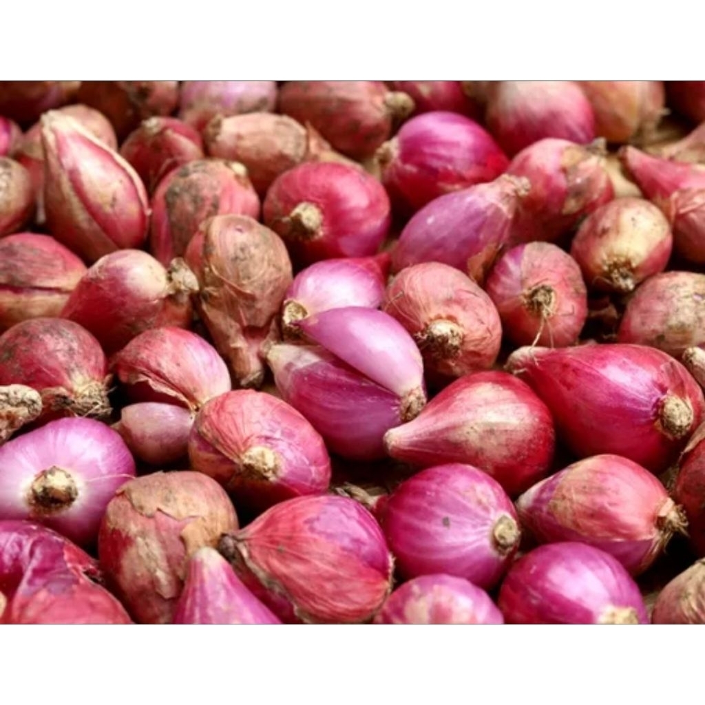 

bawang merah biasa 250gr/500gr/1kg