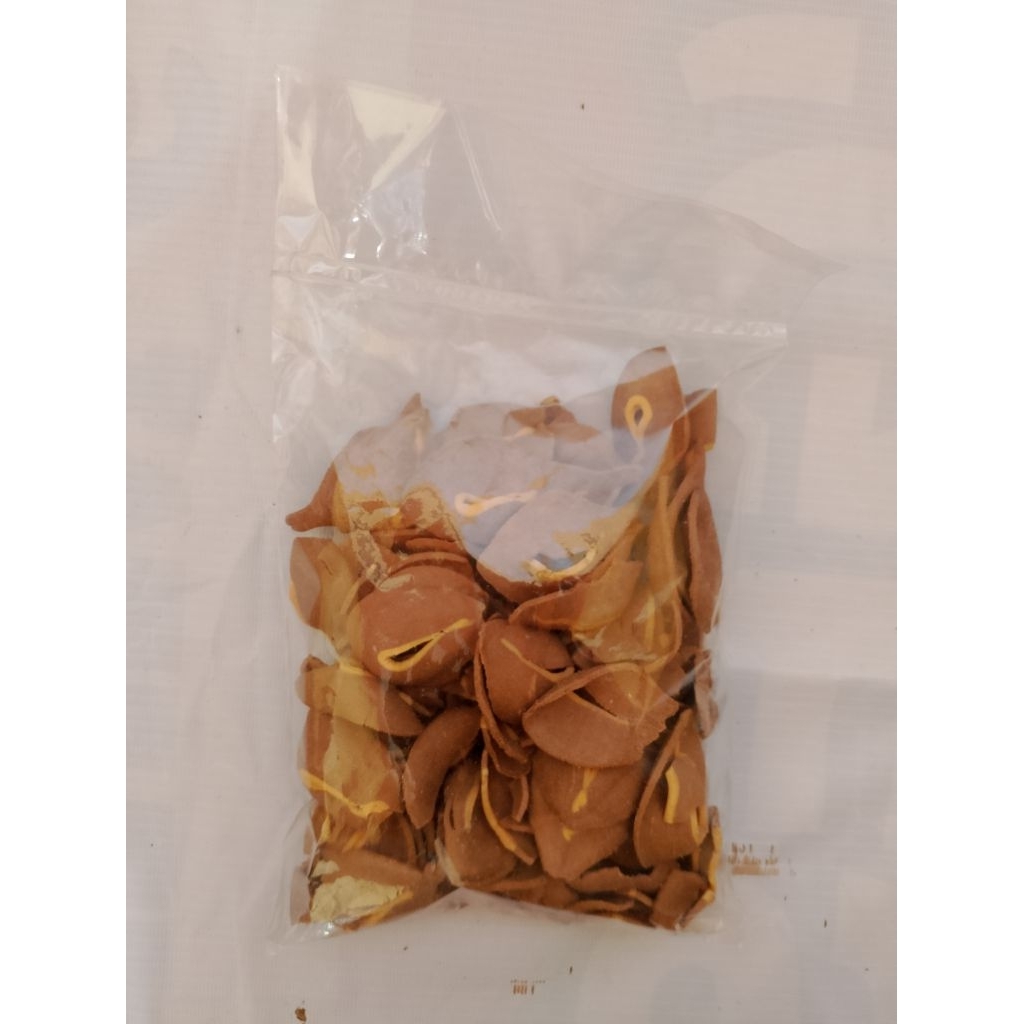 

kenari kuning | kenari cokelat