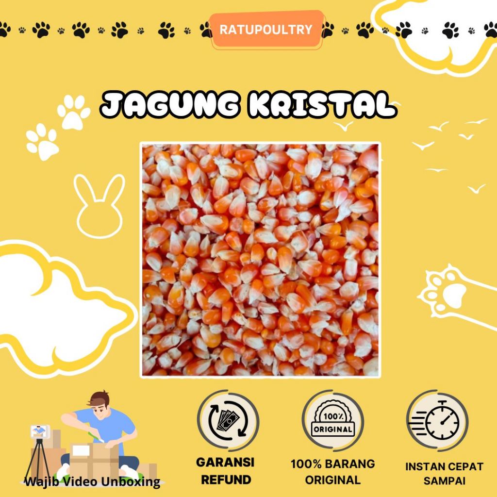 Jagung Kristal 500gr | Pakang Burung Jagung kristal