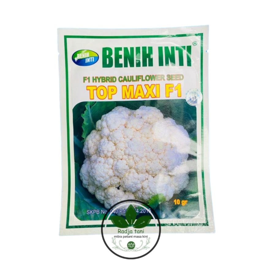 Benih - Benih cauliflower F1 TOP MAXI isi 10gr dari PT DINASTY INTI AGRO SARANA (PT DINASTY INTI AGR