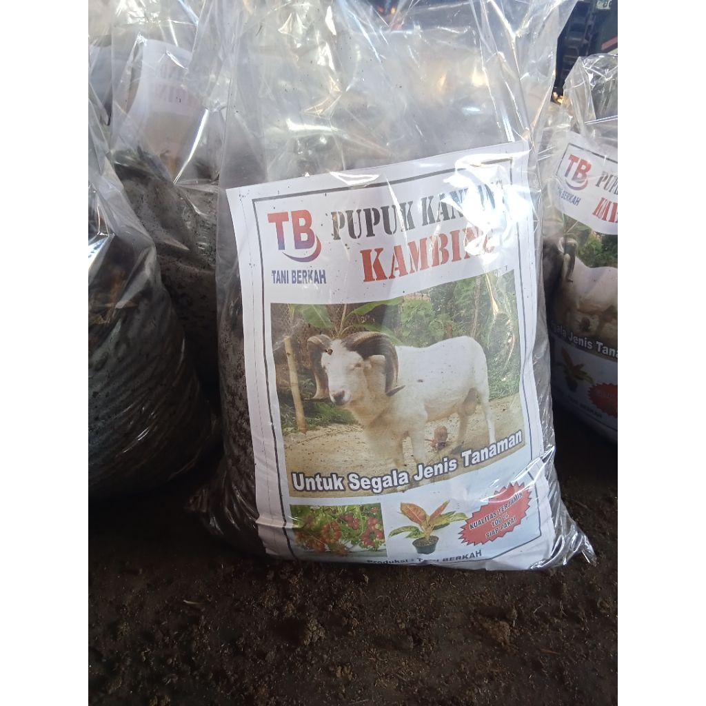 pupuk kohe kambing murni