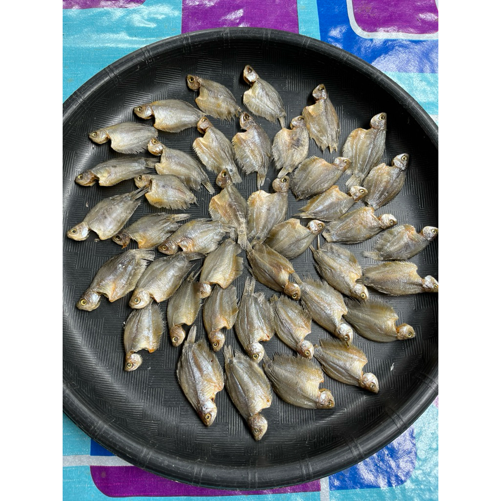 

Ikan sapat karing asli dari gambut 100gr