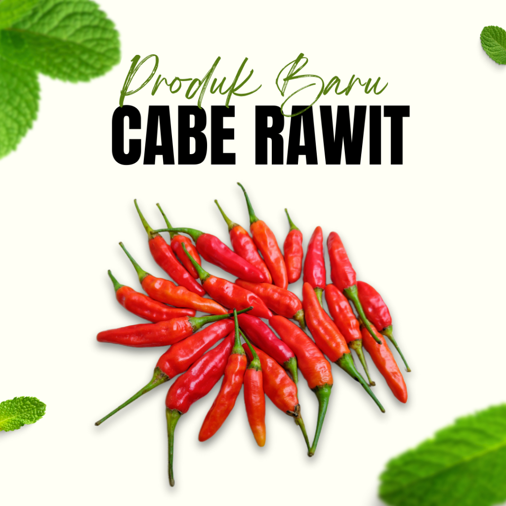 

Cabai Rawit Merah 100 Gr / Cabe Merah / Cabe Pedas / Sayur Pedas / Masakan Pedas