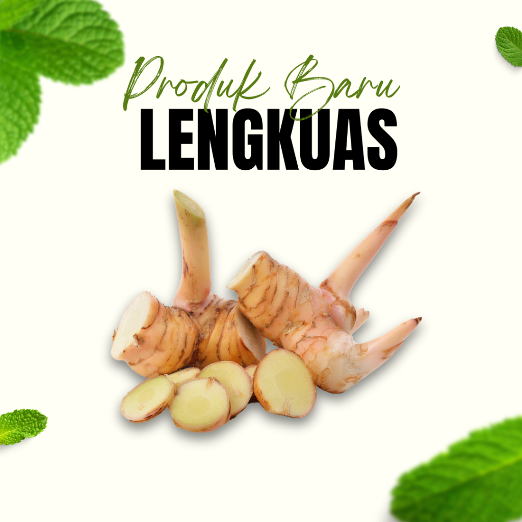 

Jual Lengkuas 100Gram / Lengkuas Segar / Rempah Lengkuas / Masakan Rendang / Masakan Lengkuas