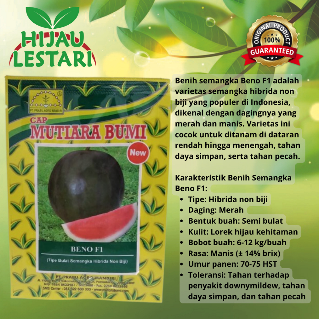 Beno F1 isi 300 Biji Benih Semangka Non Biji Cap Mutiara Bumi