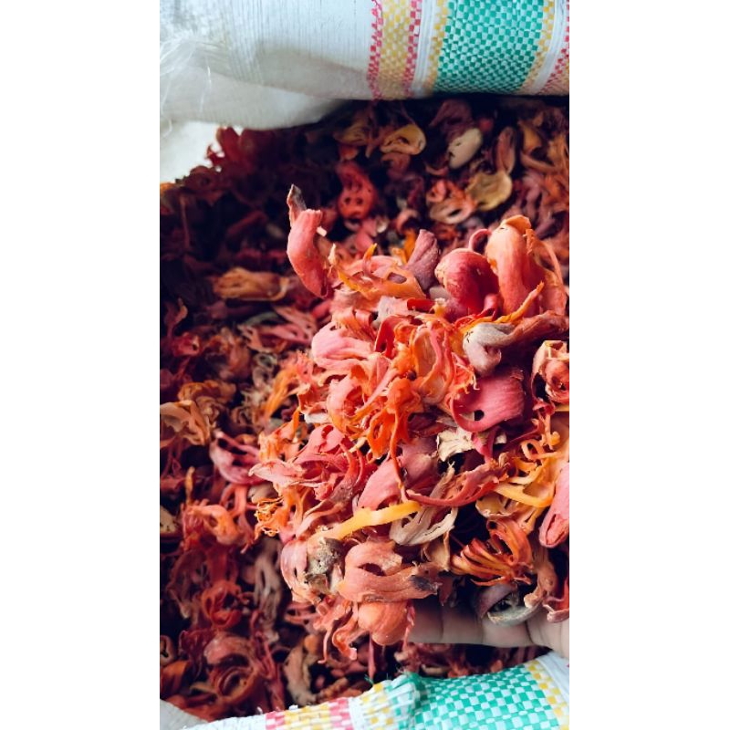 

Bunga Pala Kering Sempra Premium 250/500 gram Rempah Aromatik Berkualitas Tinggi Herbal Tanpa Pengawet 100% Murni Alami Cocok untuk Masakan Tradisional Jamu dan Minuman Herbal - Pedas, Spices Bahan