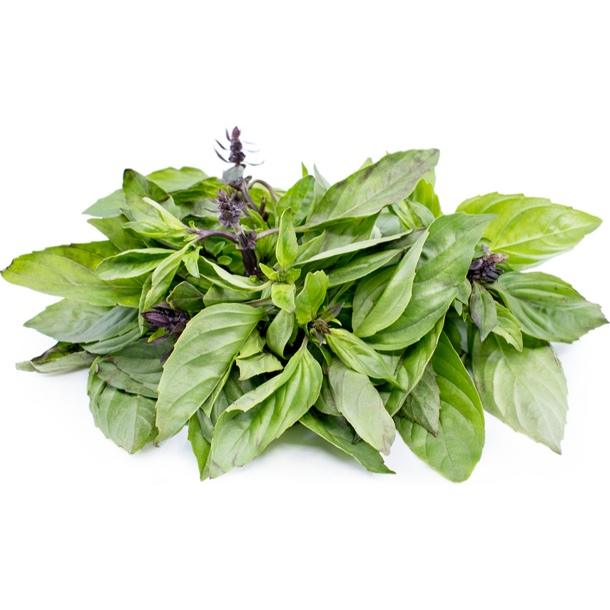 

Thai Basil Fresh ( Kemangi Thailand) 50 gr / Bumbu Masak / Sayur rempah
