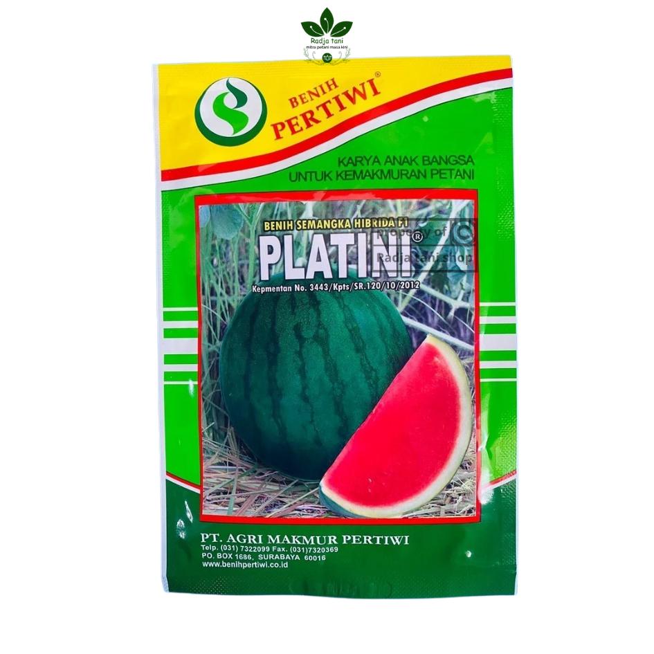 Benih - Benih semangka hibrida F1 PLATINI merah tanpa biji isi 20gr dari PERTIWI (PERTIWI)
