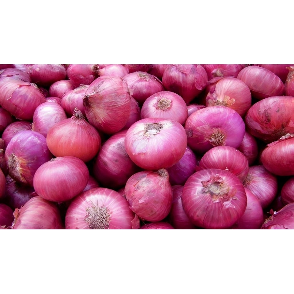 

BAWANG MERAH PREMIUM 1Kg ukuran Besar