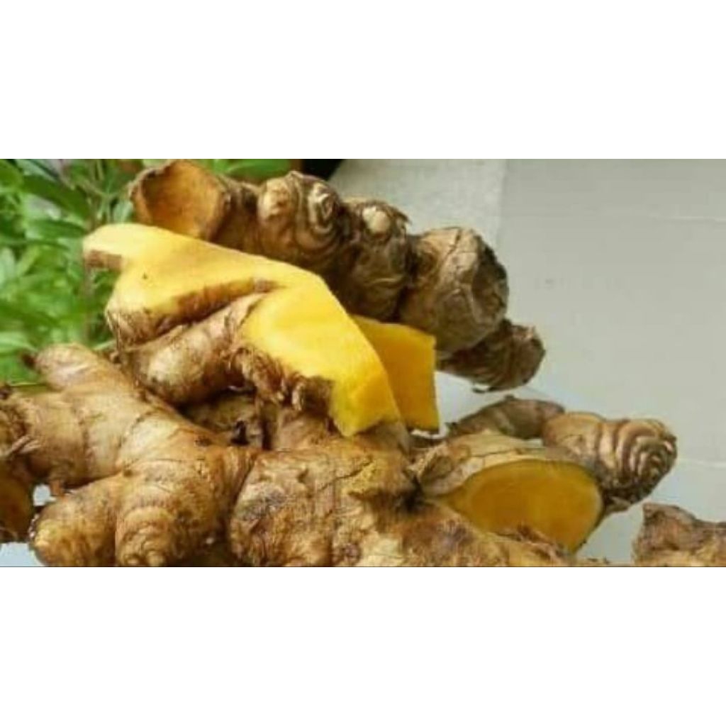 

bangle herbal 250gram