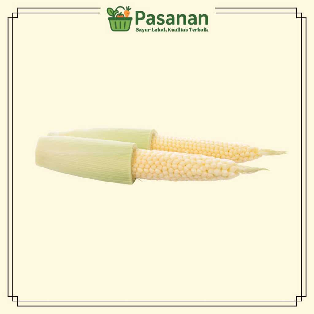 

Jagung Putren Segar - Baby Corn Siap Masak - Pasanan