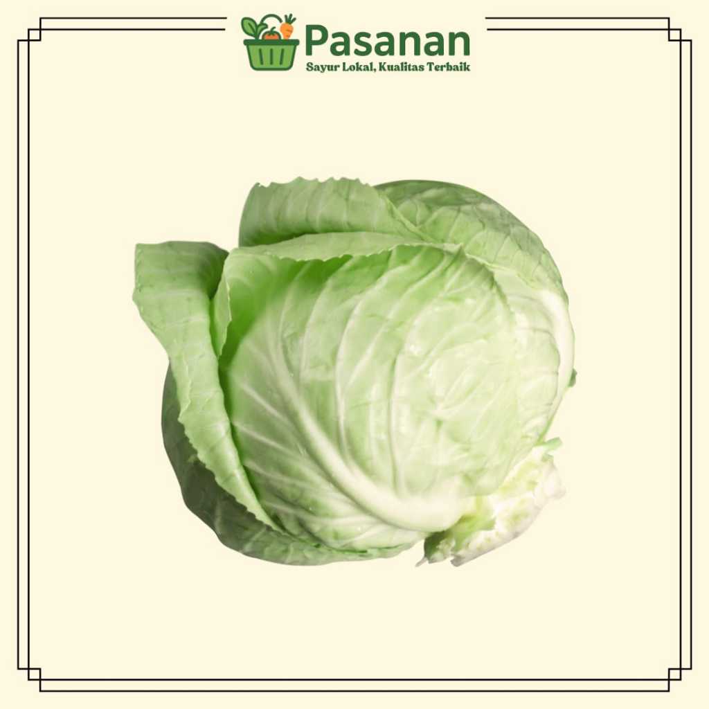 

Kol Segar 250g/1kg Cocok Untuk Sop - Pasanan