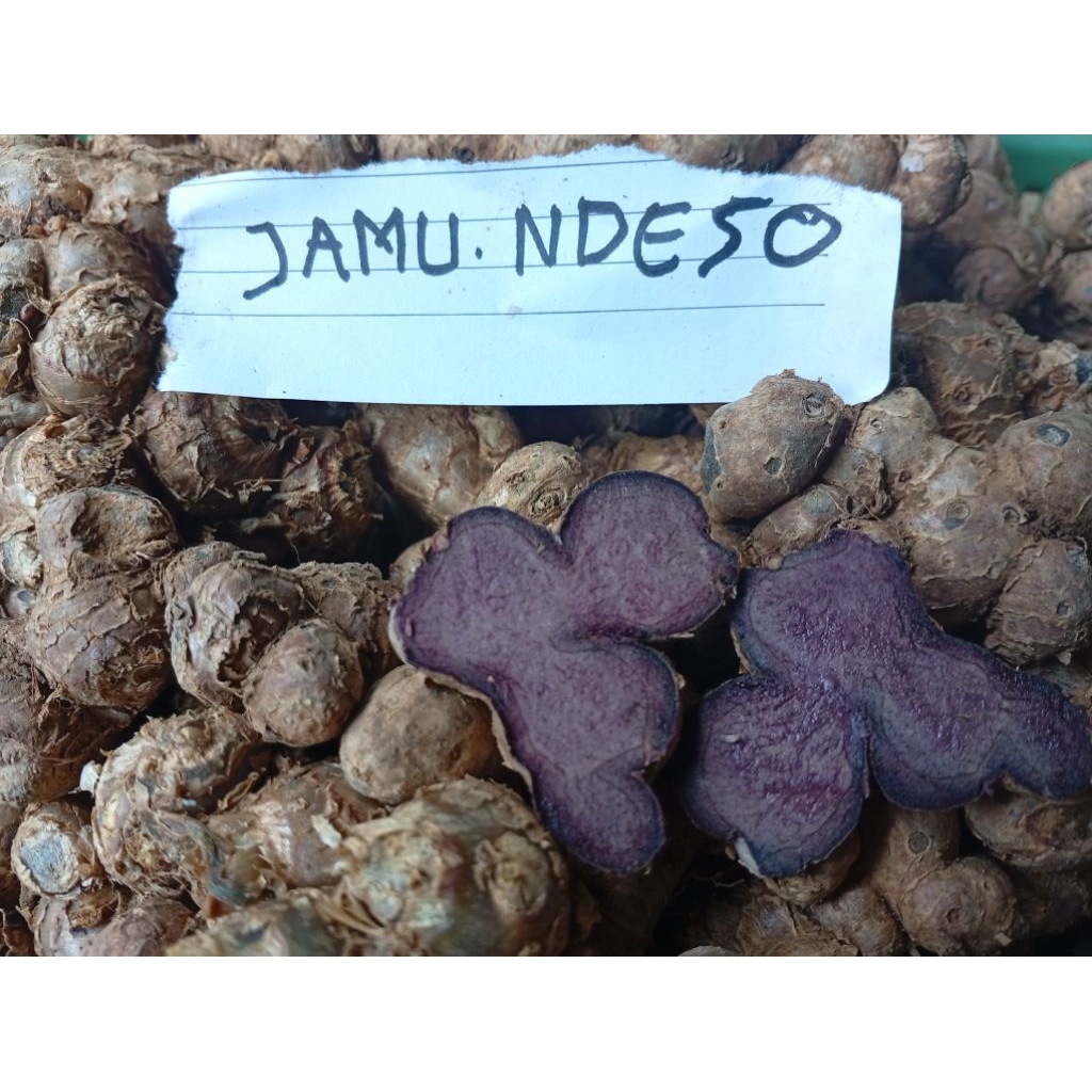

Kunyit Hitam Asli Premium | Herbal Tradisional – JAMU NDESO