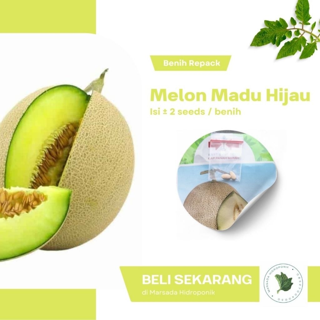 Benih Bibit Melon Madu Hijau Cap Panah Merah Kemasan Repack isi 2 Seeds