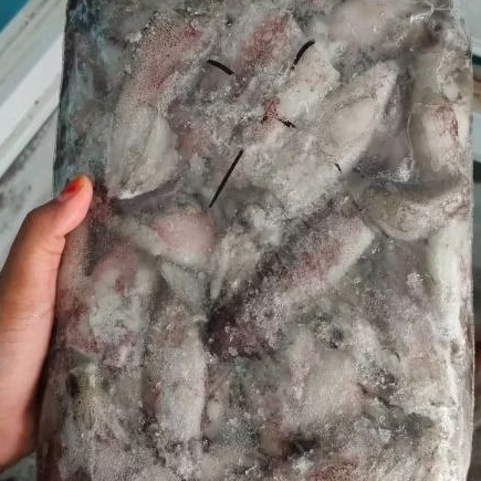 

cumi-cumi