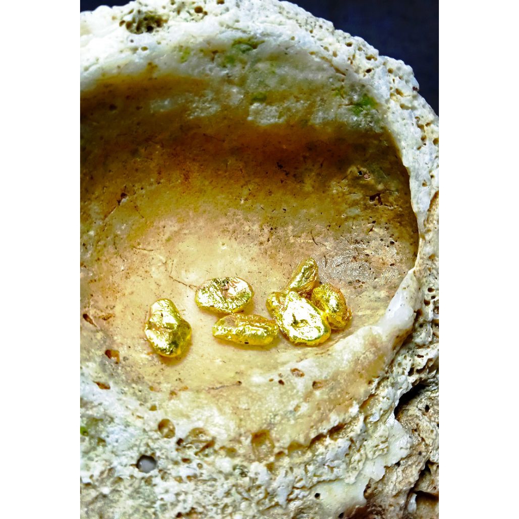 logam ke emasan temuan sungai