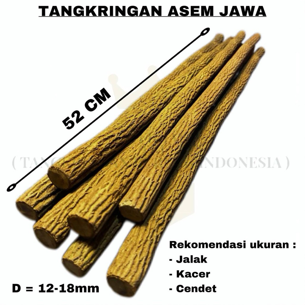 Tangkringan/pangkringan asem jawa super KACER,CENDET, JALAK,WAMBI panjang 50cm