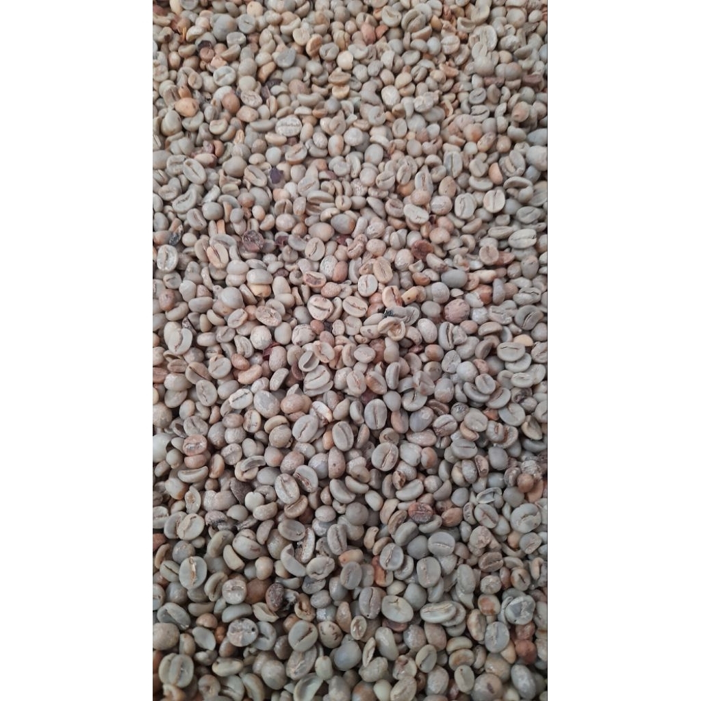 

Green Bean Arabika Natural proses
