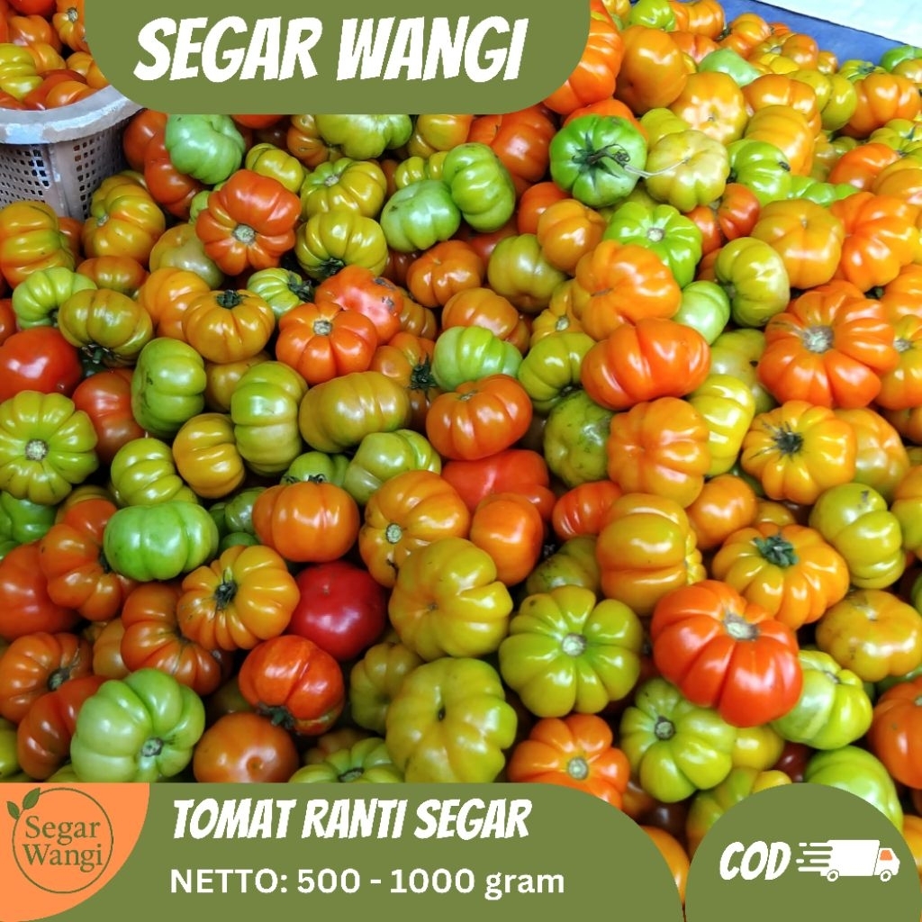 

Tomat Ranti Khas Banyuwangi 1 Kg - Tomat Kriting / Tomat Ranti