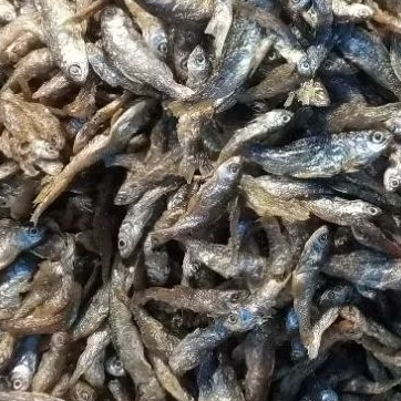 

Ikan Bilis Kering Super Renyah, Bersih, Tidak Pahit, Teiri Premium,1/2kg