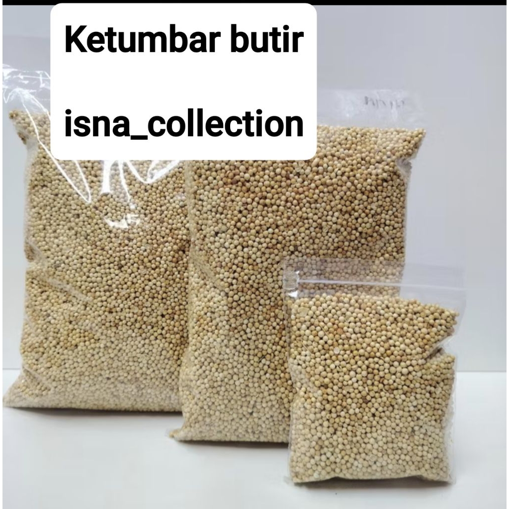 

KETUMBAR BUTIR MURAH