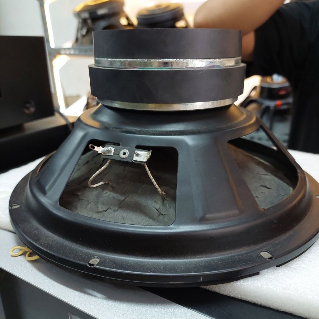 speaker subwoofer 10inch BM 10 double magnet speaker 10inch