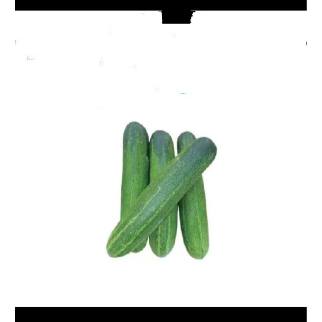 

timun