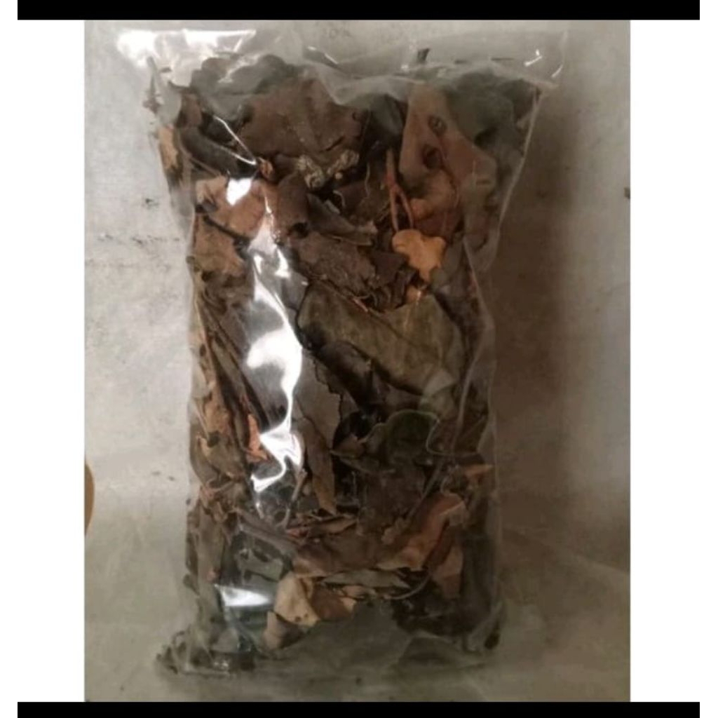 

daun benalu kopi kering 100gr daun herbal