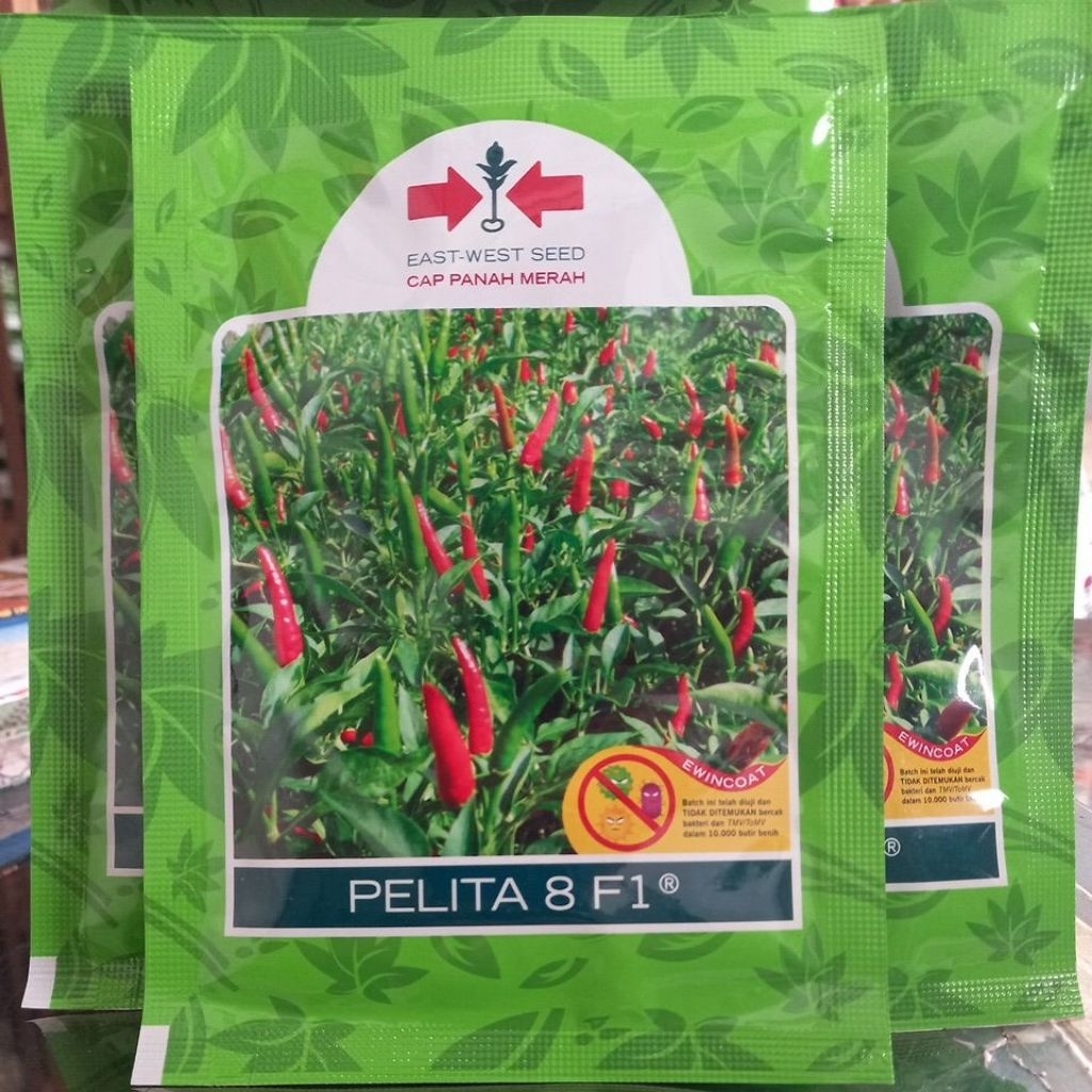 Benih cabe pelita 8 f1 kemasan isi 2250 butir