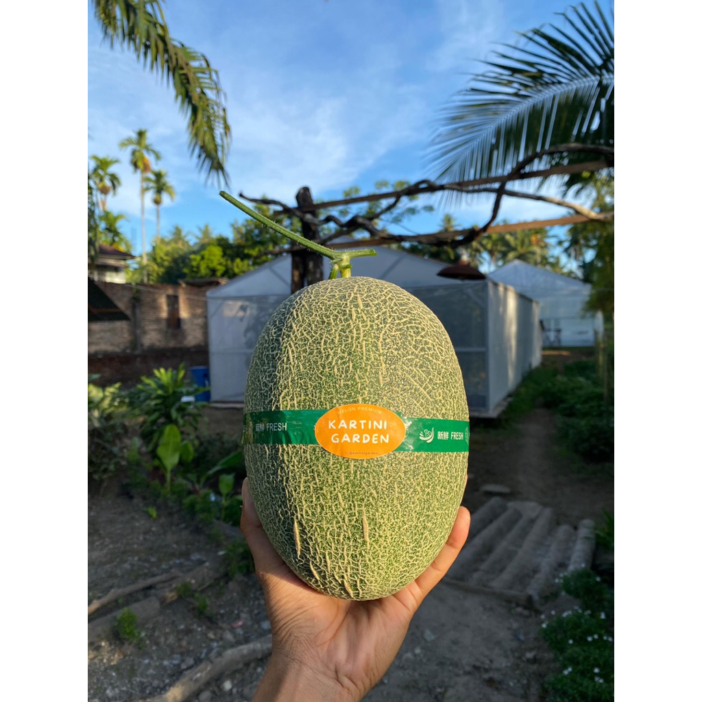 

Melon Premium Sweet Hami Kartini Garden