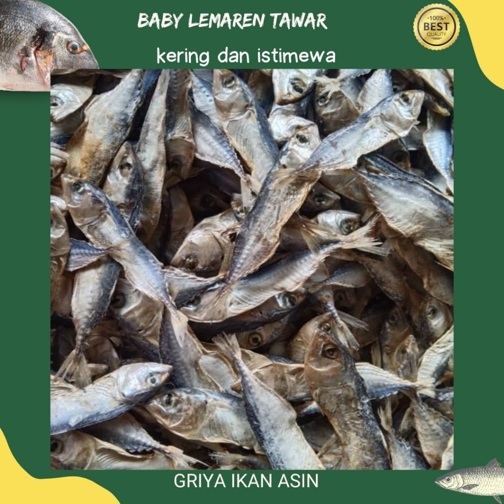

baby ikan lemaren/ikan tawar lemaren kecil/baby tawar lemet