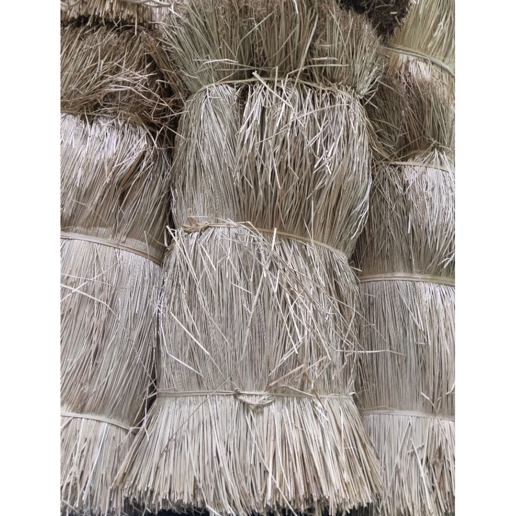 Rumput Mendong 1 kg | Mendong Natural | Mendong Purun Ukuran 110 cm