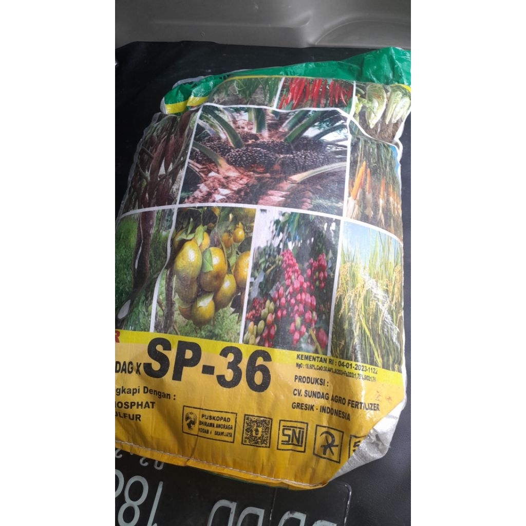 Repacking 1 kg (SP-36) Pupuk GSP Super Phosphate Sundag 50kg Fosfat Tanaman TSP SP36 SP 36