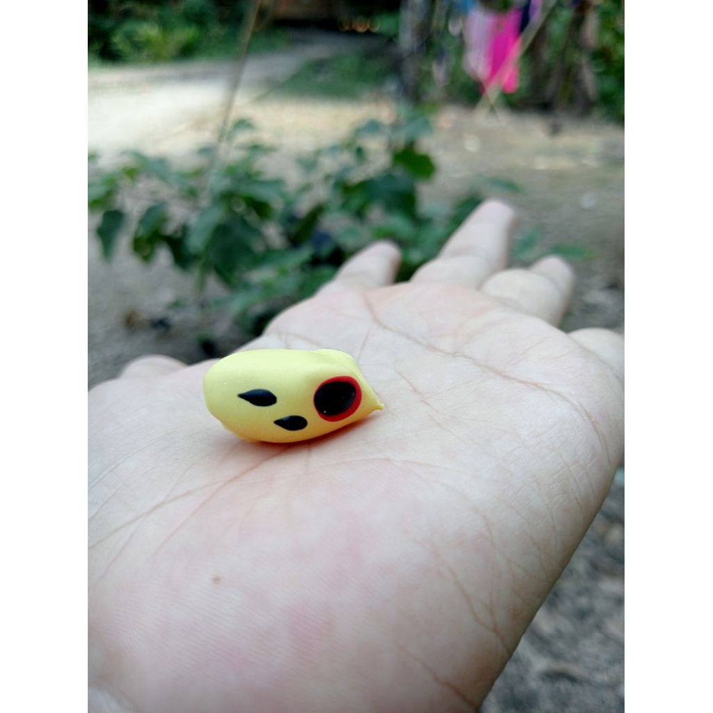 cangkang/kulit soft frog ukuran 2,5 cm