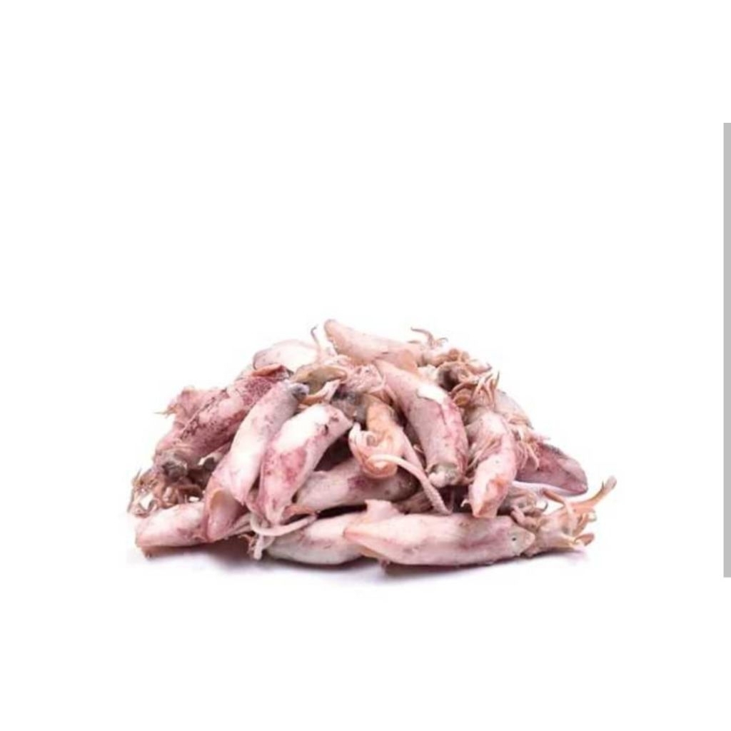 

CUMI ASIN SEGAR 250 gr