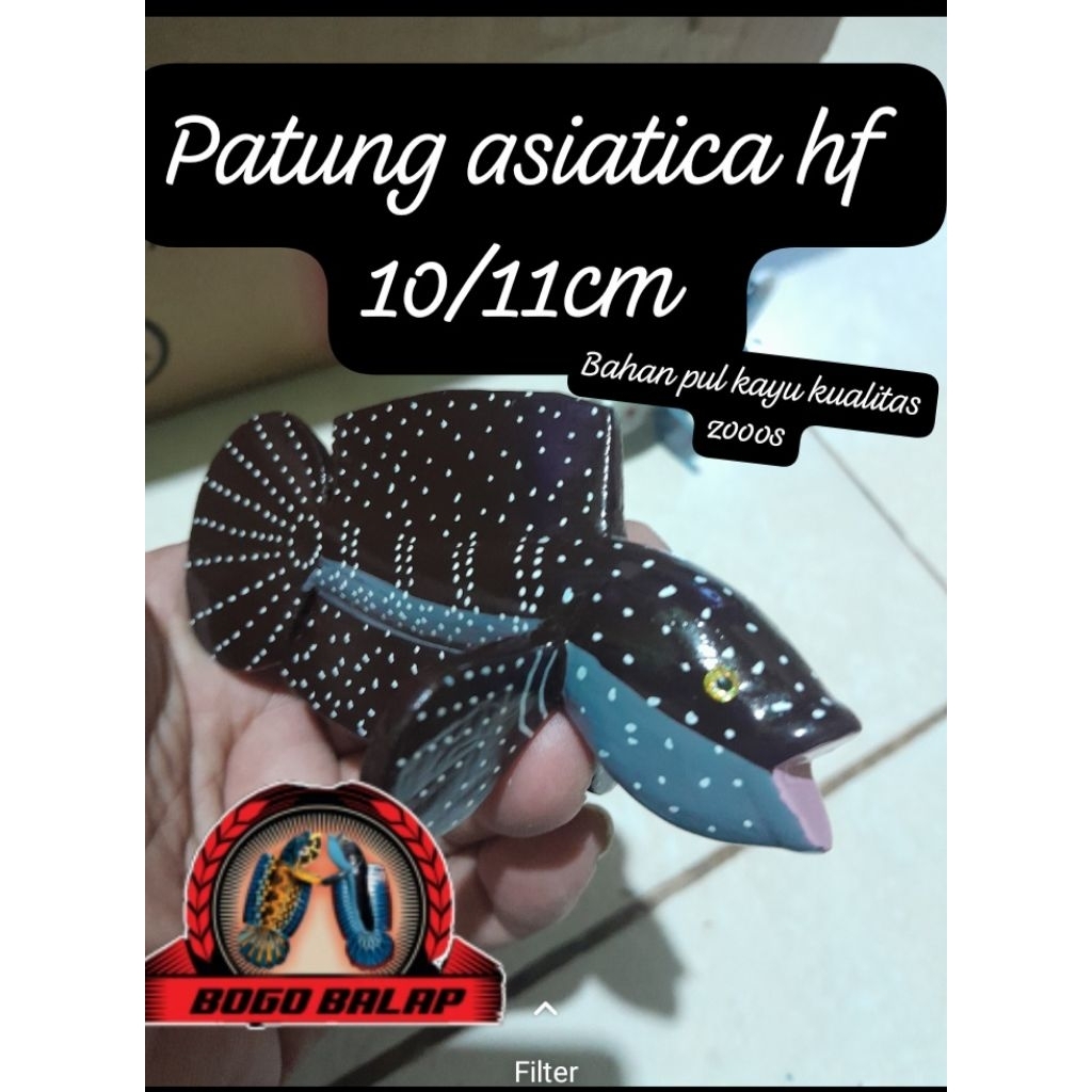 patung asiatica hf gondrong