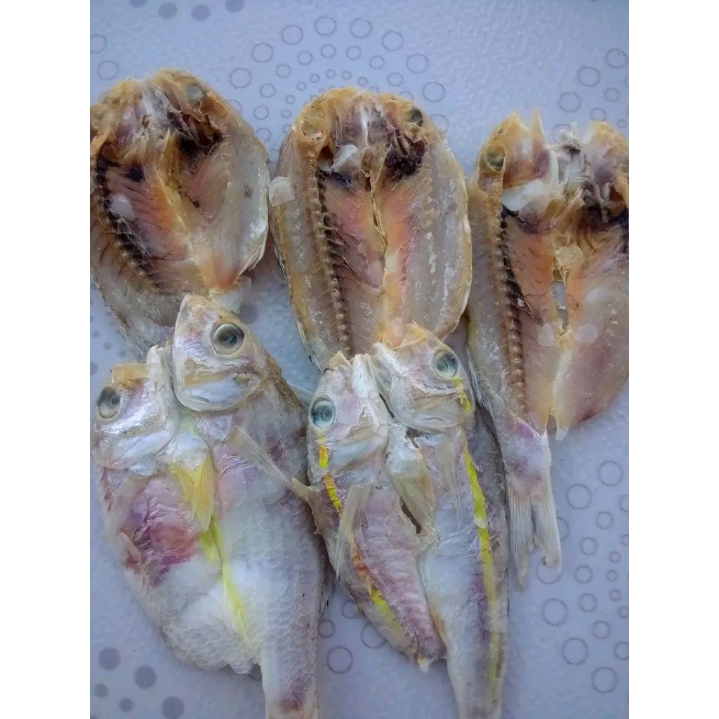 

ikan asin kuniran belah kering dan renyah terlaris