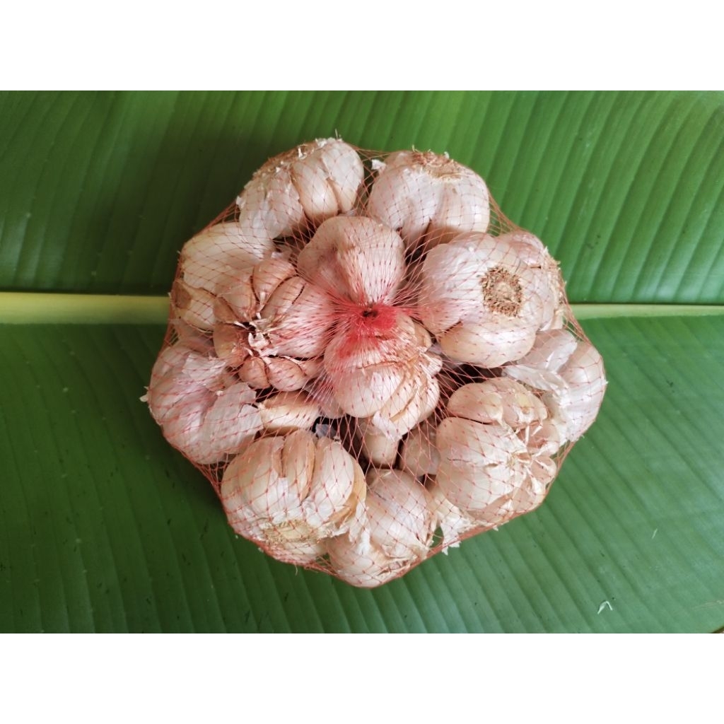 

Bawang putih Honam 1 KG