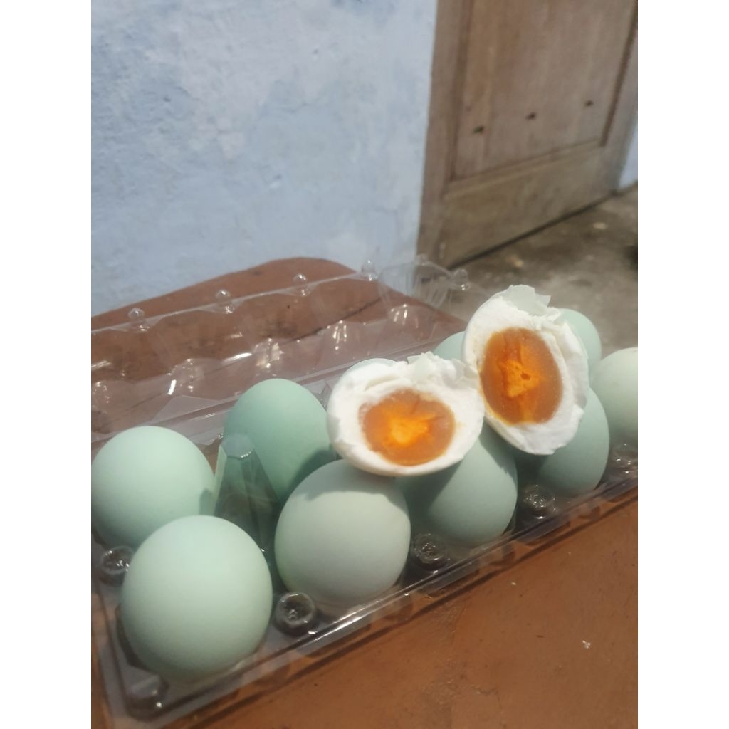 

TELUR ASIN ASLI MASIR NYA