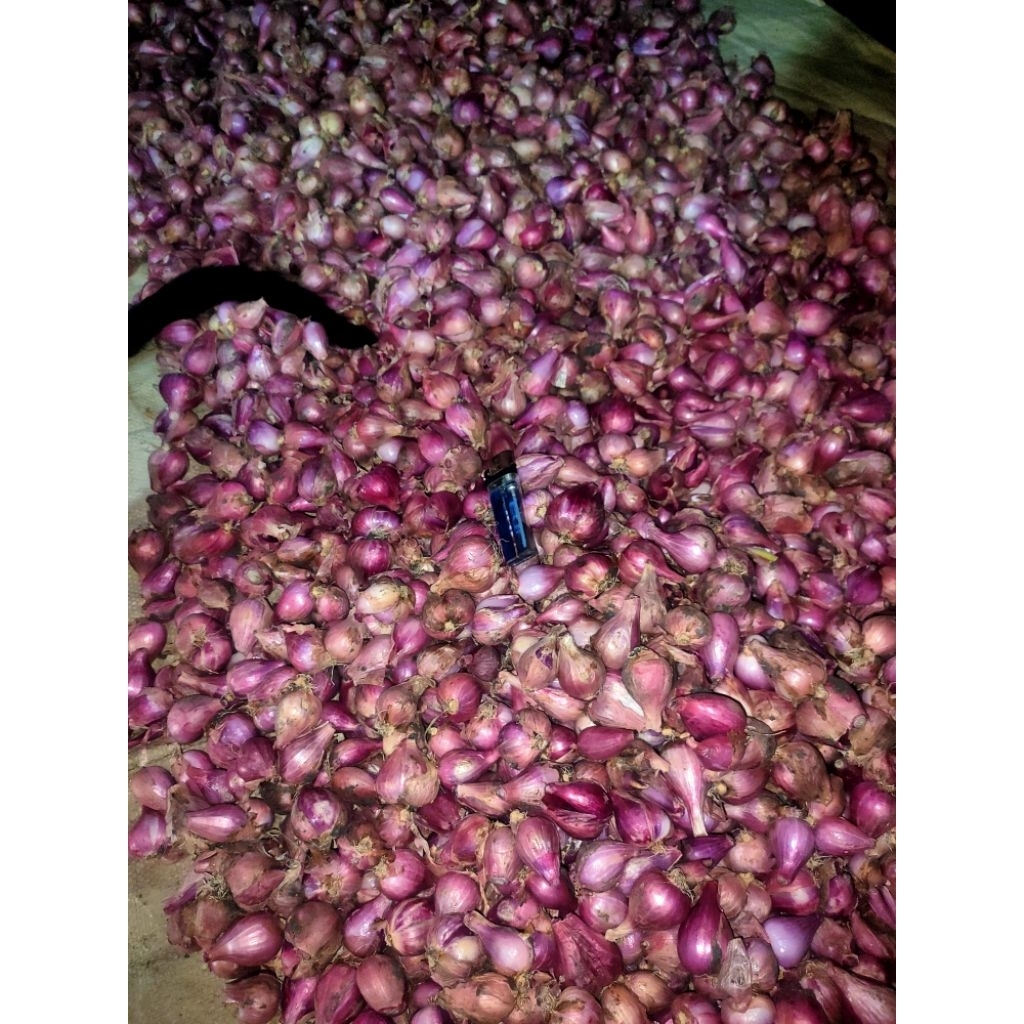 

1KG TERMURAH BAWANG MERAH SEDANG BESAR (KERING)
