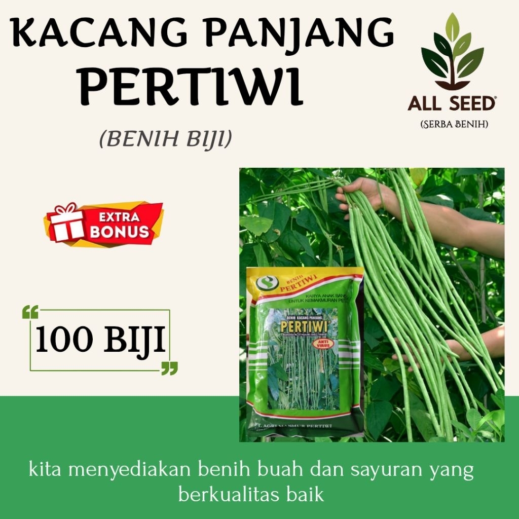 ( 100 Biji ) Benih kacang panjang pertiwi | bibit biji kacang pertiwi | kacang panjang merah putih |