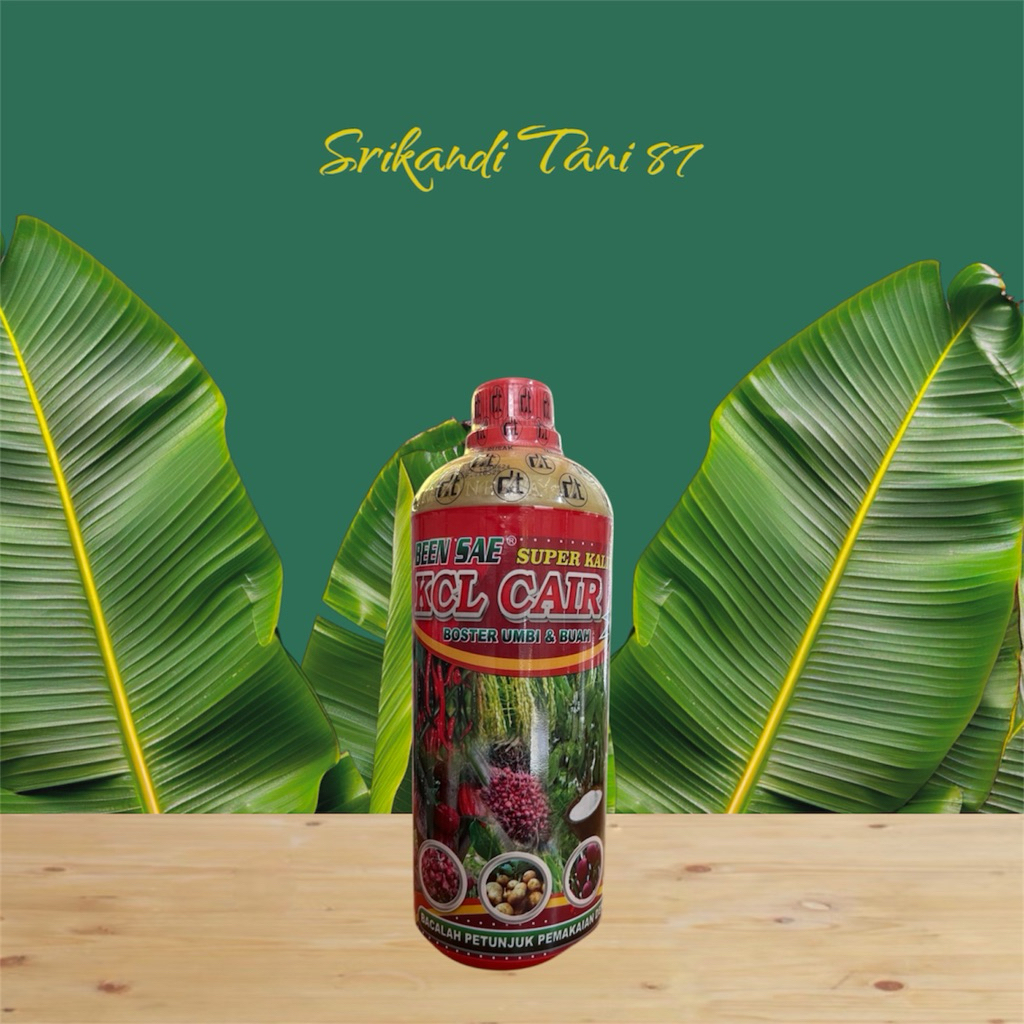 Pupuk KCL Cair BEEN SAE 1Ltr