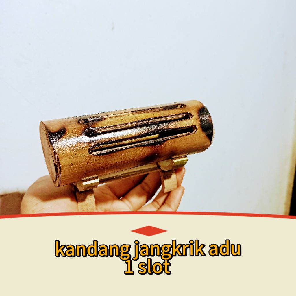 Kandang jangkrik adu Kandang jangkrik aduan kandang jangkrik termurah kandang jangkrik bambu kandang