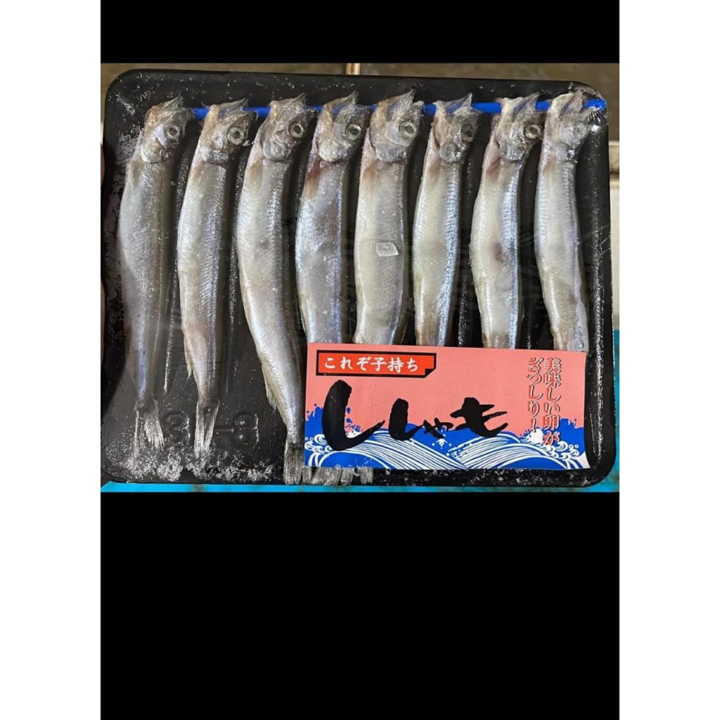

Shisamo 150gram/Ikan capelin/ikan Cipung