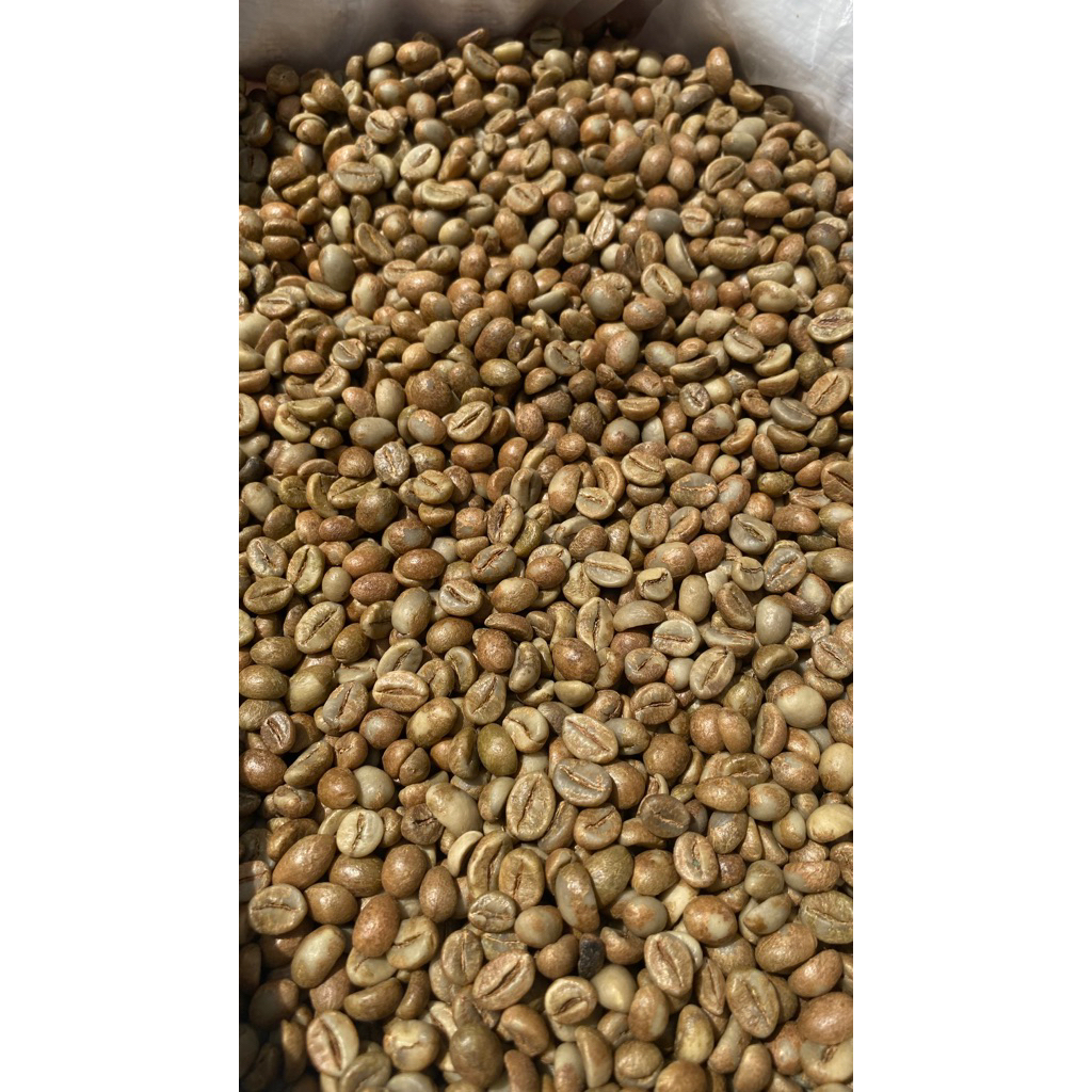 

Greenbean Robusta Temanggung Grade 1 kemasan 5kg