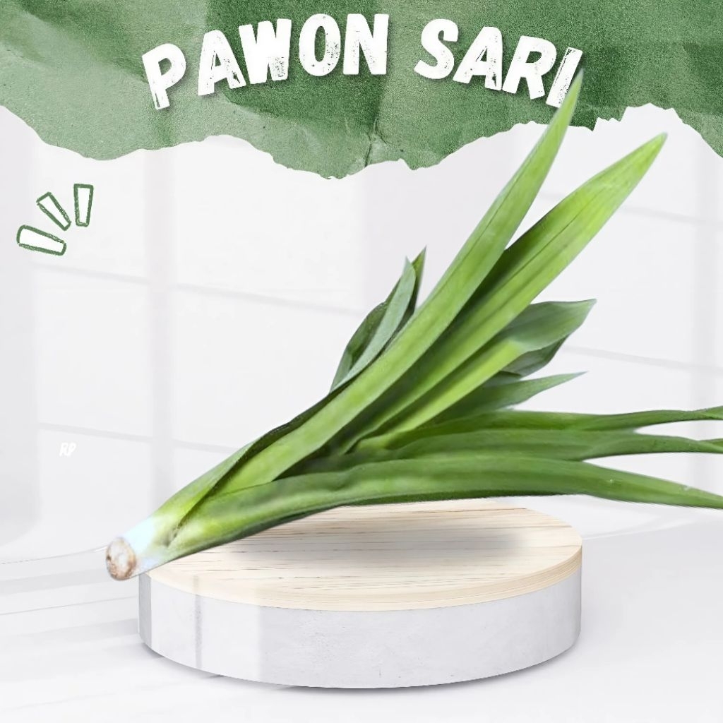 

daun pandan 1 ikat