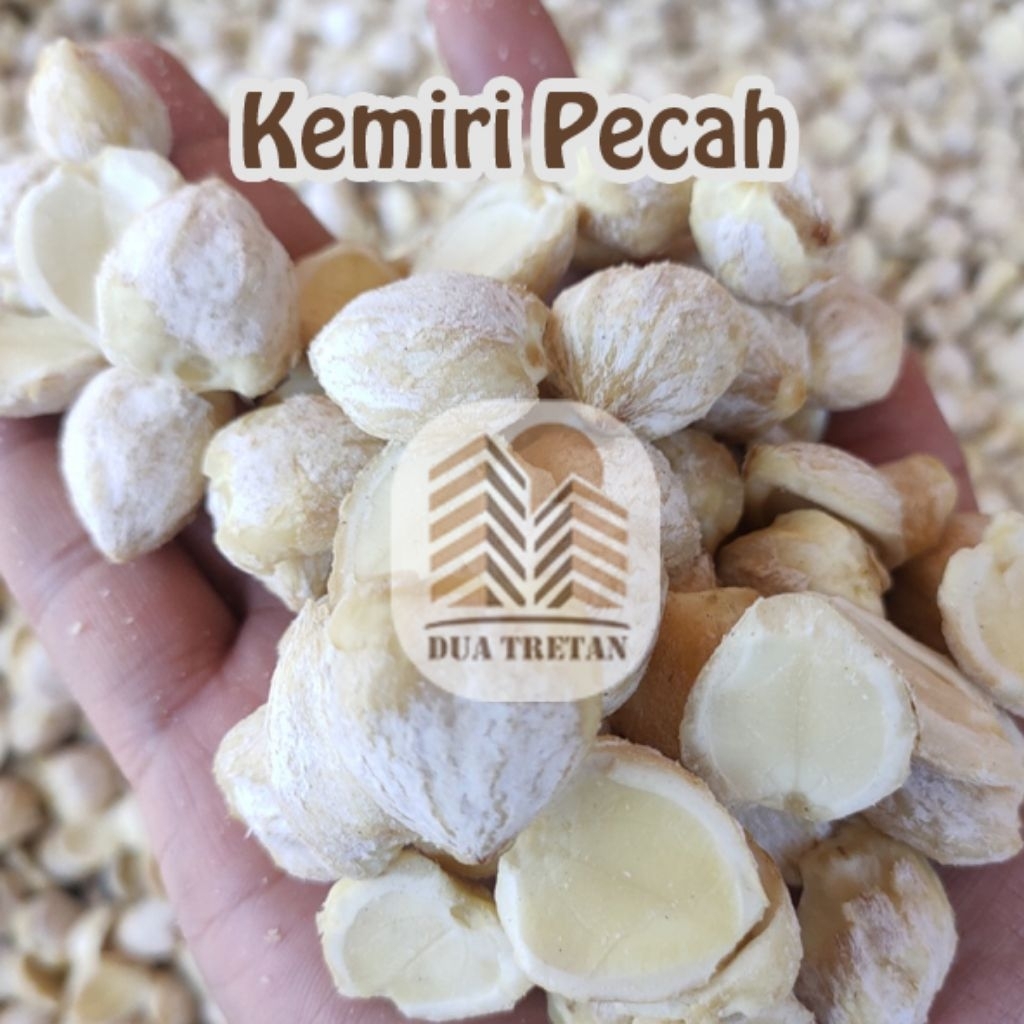 

Kemiri Pecah 1 Kg
