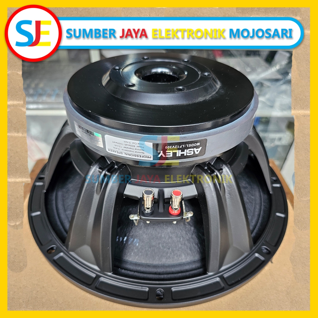 Speaker Ashley  LF12v300 - Speaker Ashley 12 inch LF12v300 - Speaker Ashley 12v300