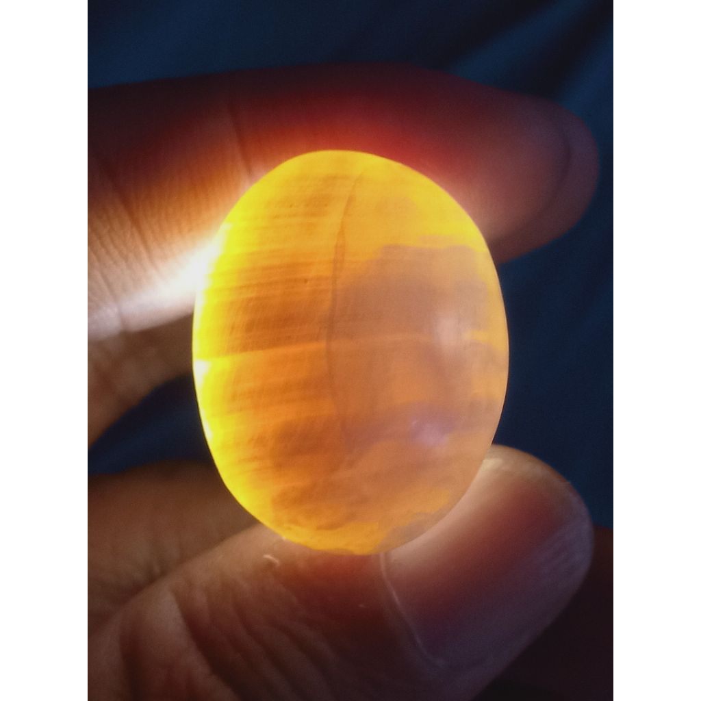 Batu Posil ManiGajah Putih Tapak Jalak