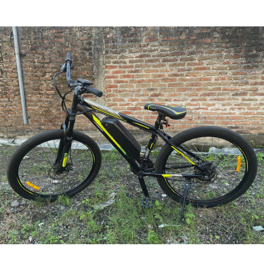 Sepeda MTB konversi listrik ebike eksotik